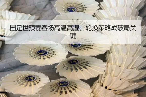 国足世预赛客场高温高湿，轮换策略成破局关键